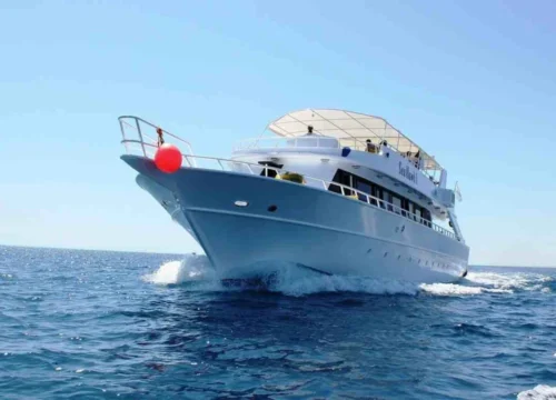 Private Bootstour zum Schnorcheln