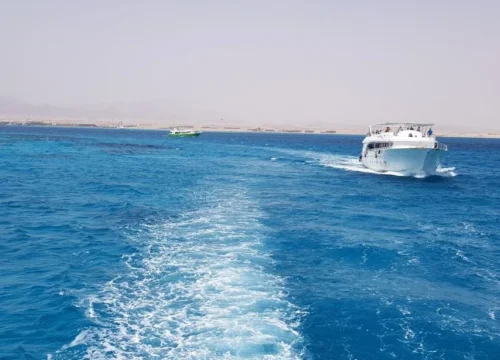 Schnorcheln auf der Utopia Insel