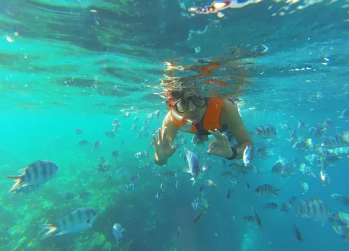 Schnorcheln in Sharm El Naga