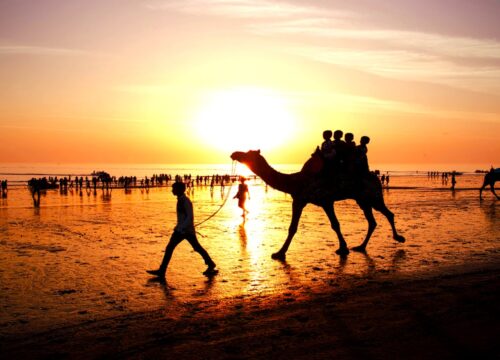 Hurghada Quad- und Buggy Meerblick, Kamel bei Sonnenaufgang