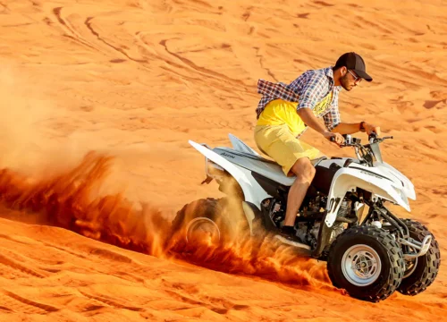 Hurghada Quad- und Buggy Meerblick, Kamel bei Sonnenaufgang