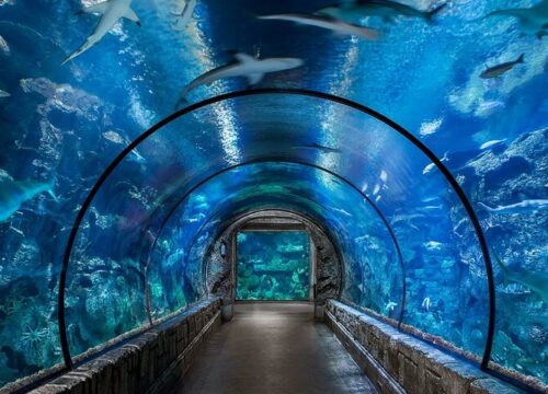 Eintrittskarte zum Hurghada Grand Aquarium mit privater transfer